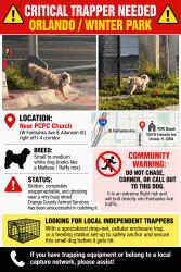 Found/Stray Unknown Dog last seen W Fairbanks Ave and Adanson St, Orlando, FL 32804