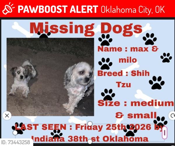 Lost Male Dog last seen Indiana 38th st Oklahoma City, Oklahoma City, OK 73119