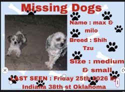 Lost Male Dog last seen Indiana 38th st Oklahoma City, Oklahoma City, OK 73119