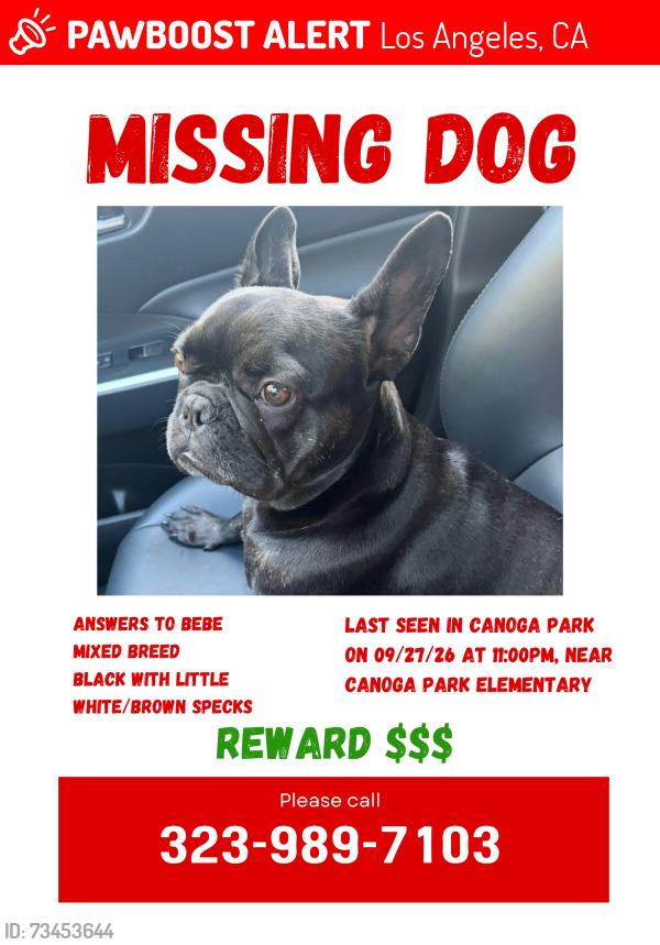 Lost Female Dog last seen Canoga Park Elementary Village Charter Academy Valerio/jordan, Los Angeles, CA 91303