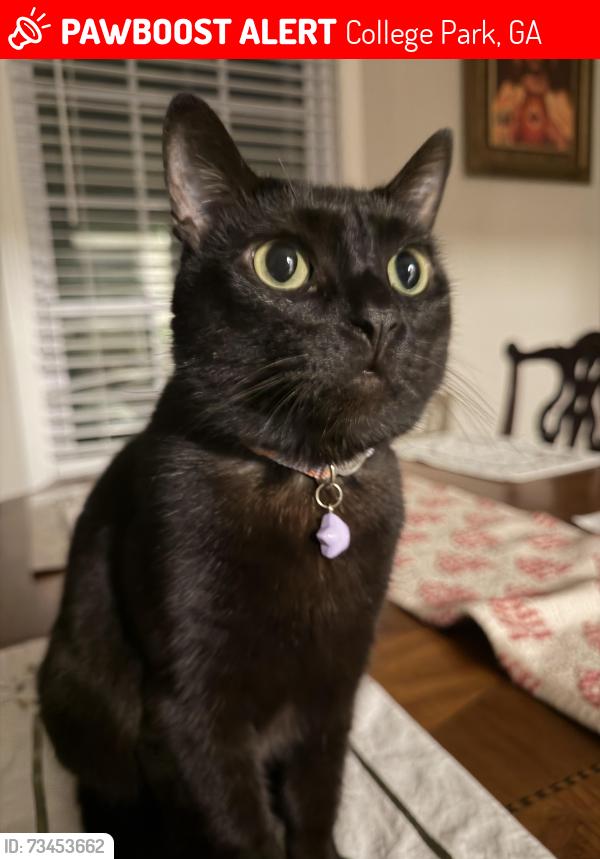 Lost Male Cat last seen Near Tahoe Dr, College Park, GA 30349