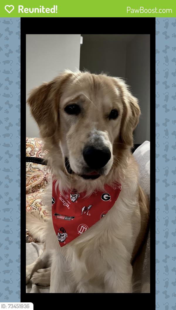 Reunited Male Dog last seen Clear Lake Way behind the tag office and near Walmart, Acworth, GA 30101