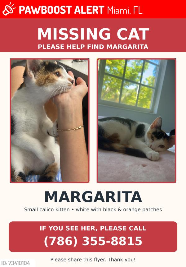 Lost Female Cat last seen Near SW 140th CT, Miami, FL 33177
