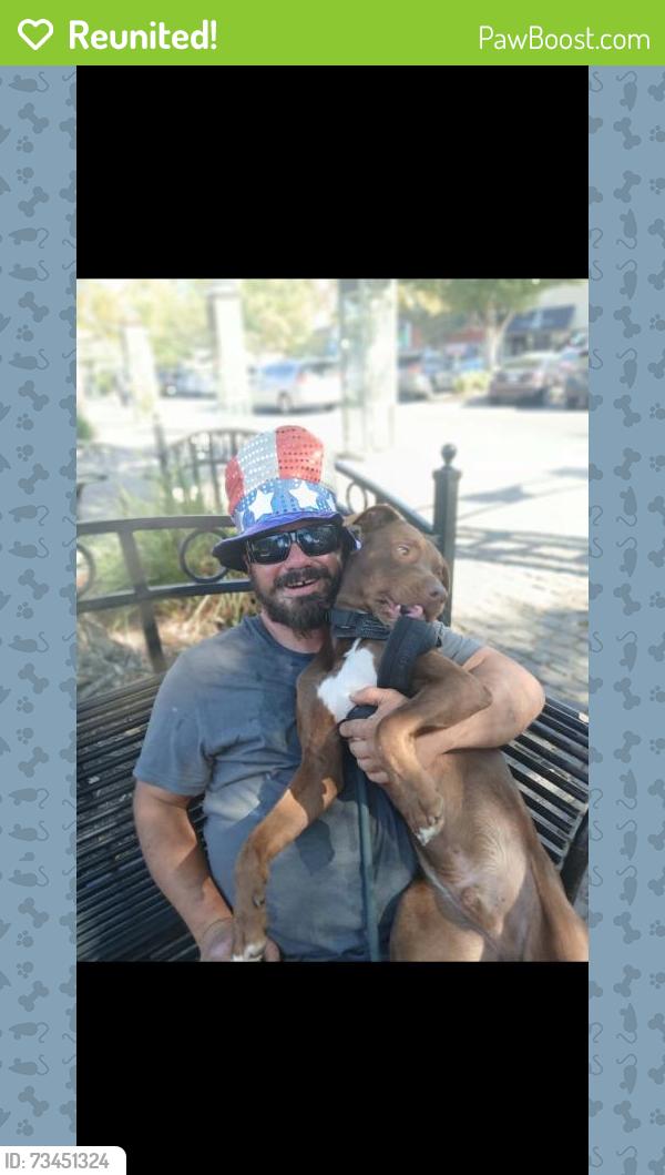 Reunited Male Dog last seen The Mexican restaurant by mcdonalds, Roseville, CA 95678