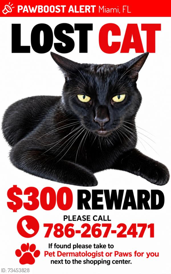 Lost Female Cat last seen Shopping center behind Samurai, Miami, FL 33176