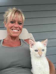 Lost Male Cat last seen Oakdale rd, Smyrna, GA 30080