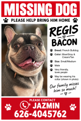 Lost Male Dog last seen Nogales high school, Walnut, CA 91789
