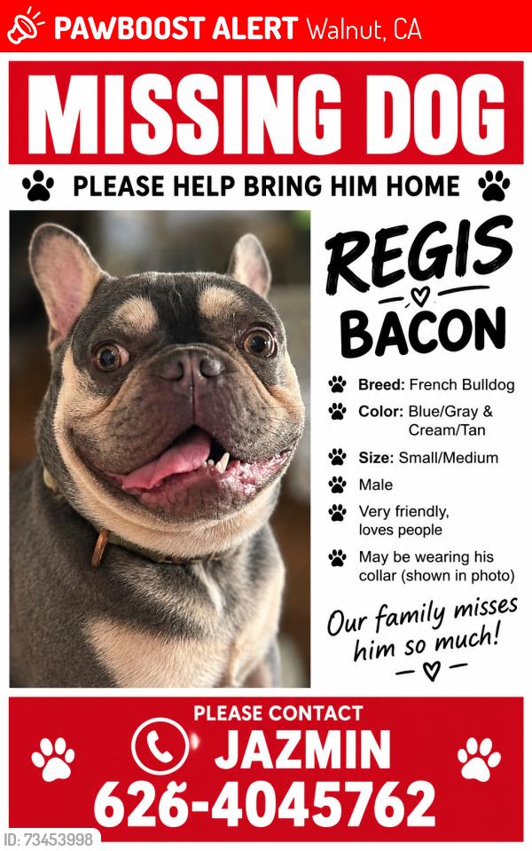 Lost Male Dog last seen Nogales high school, Walnut, CA 91789