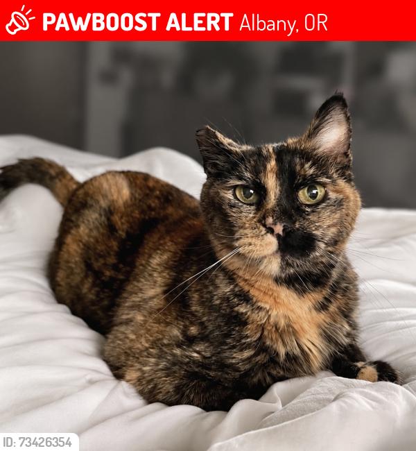 Lost Female Cat last seen SE Tudor Way x 14th Ave SE, Kinder Park area, possible sighting near Albany Public Library, Albany, OR 97322
