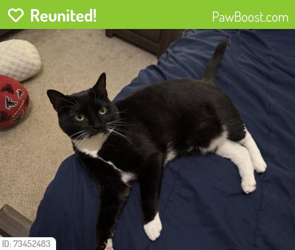 Reunited Female Cat last seen Mountain Brook neighborhood near Highlands Loop and Mountain Mist, Woodstock, GA 30188