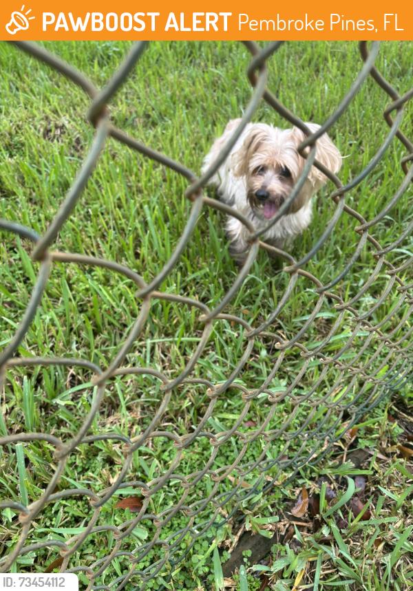 Found/Stray Male Dog last seen Near Ave 14 ct NE, Pembroke Pines, FL 33026