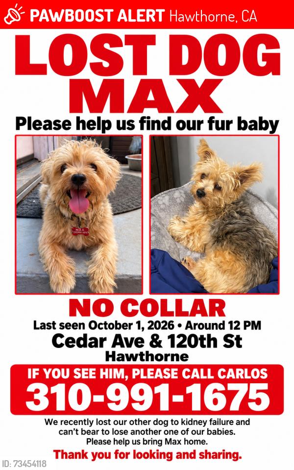 Lost Male Dog last seen 120th, Hawthorne, CA 90250