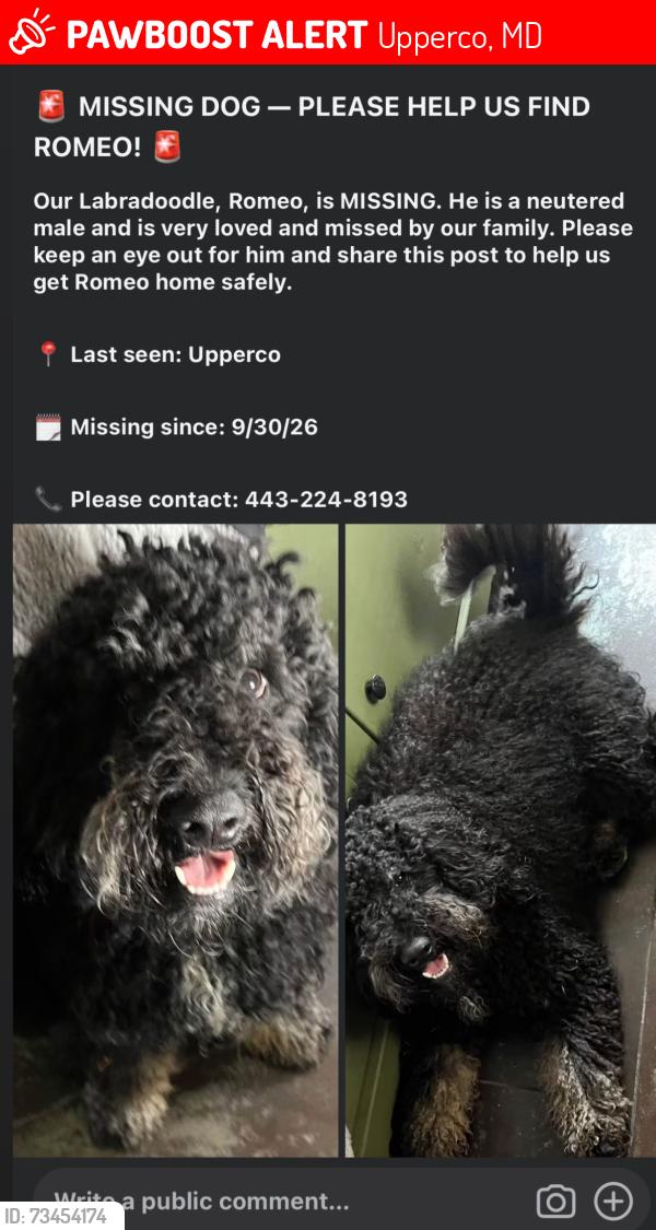 Lost Male Dog last seen Upperco, Upperco, MD 21155