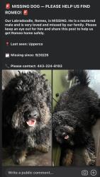 Lost Male Dog last seen Upperco, Upperco, MD 21155