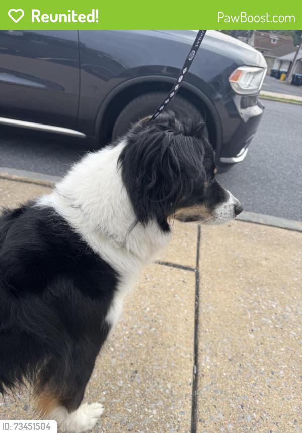 Reunited Unknown Dog last seen Main Street and North Grant Street (opposite of VFW), Palmyra, PA 17078