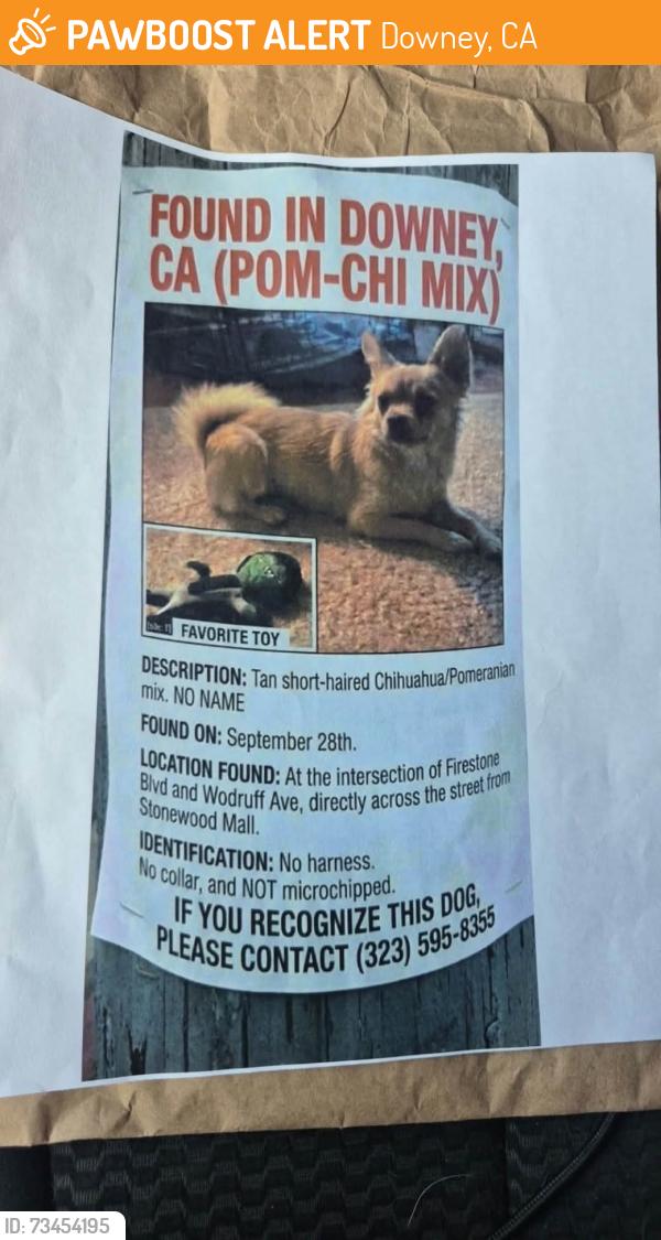 Found/Stray Male Dog last seen Woodruff and Firestone, Downey, CA 90241