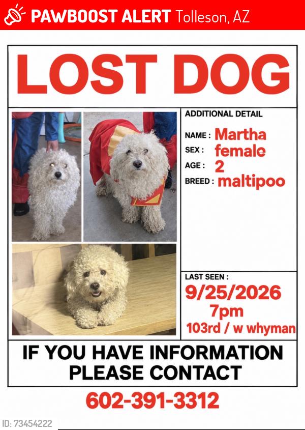 Lost Female Dog last seen Near w Whyman ave, Tolleson, AZ 85353