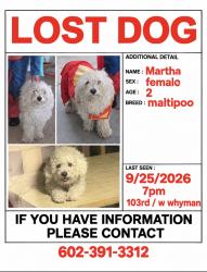 Lost Female Dog last seen Near w Whyman ave, Tolleson, AZ 85353