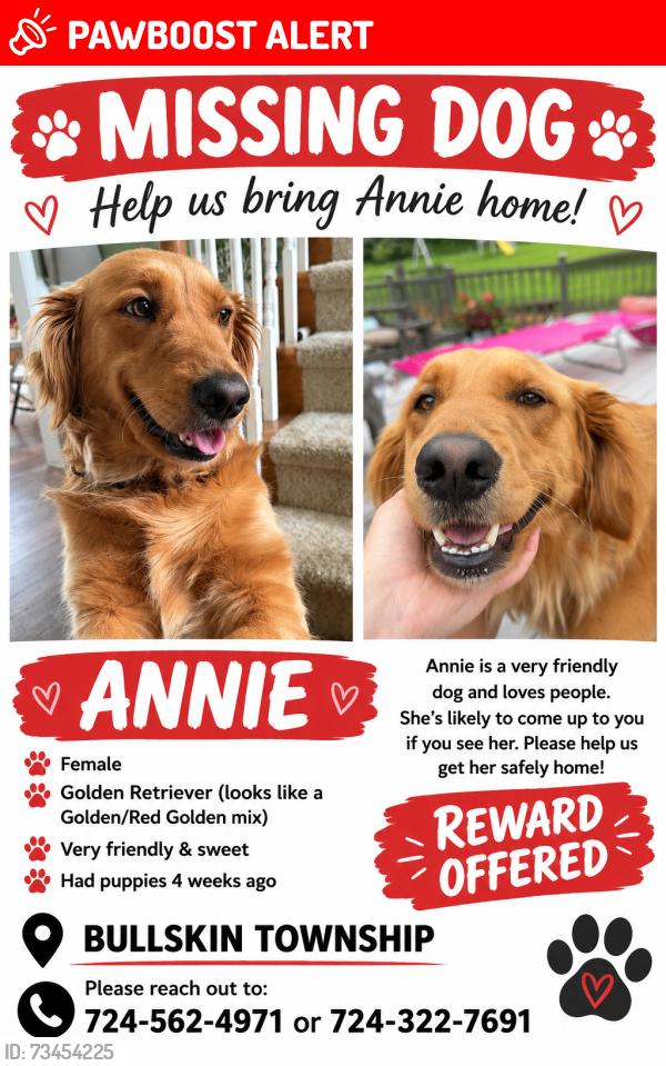 Lost Female Dog last seen Near Bullskin firehall, Bullskin Township, PA 15425