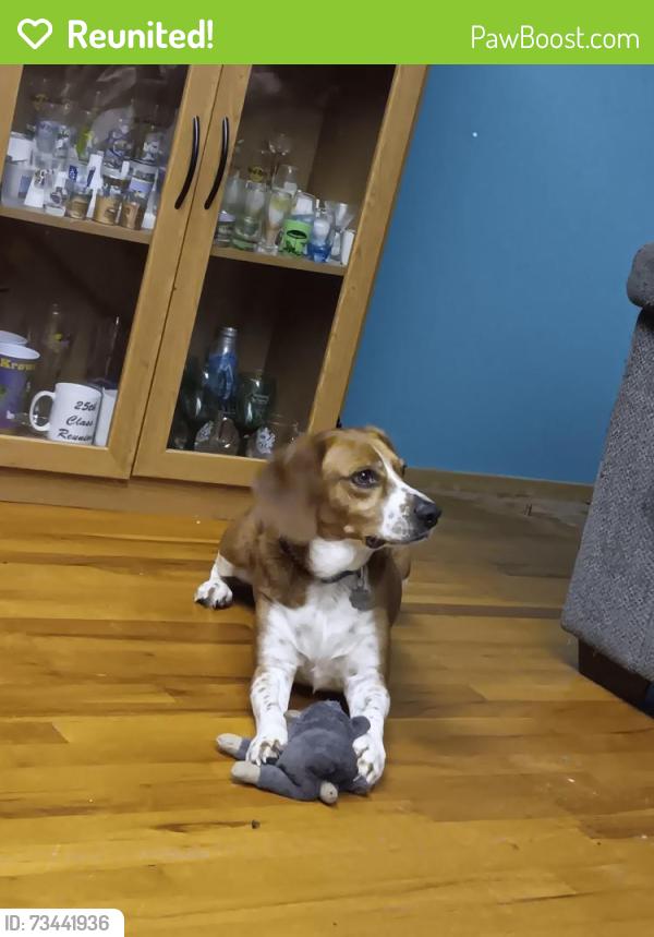 Reunited Male Dog last seen Port Diane Dr., Creve Coeur Township, MO 63146