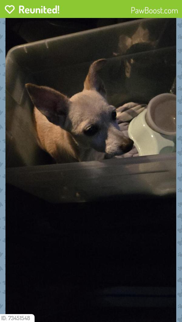 Reunited Male Dog last seen Sloangate Dr, Birnam Wood Blvd, Spring, TX 77373