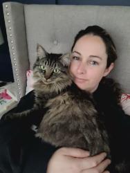 Lost Male Cat last seen Hammonds plains, Hammonds Plains, NS B4B 1N2