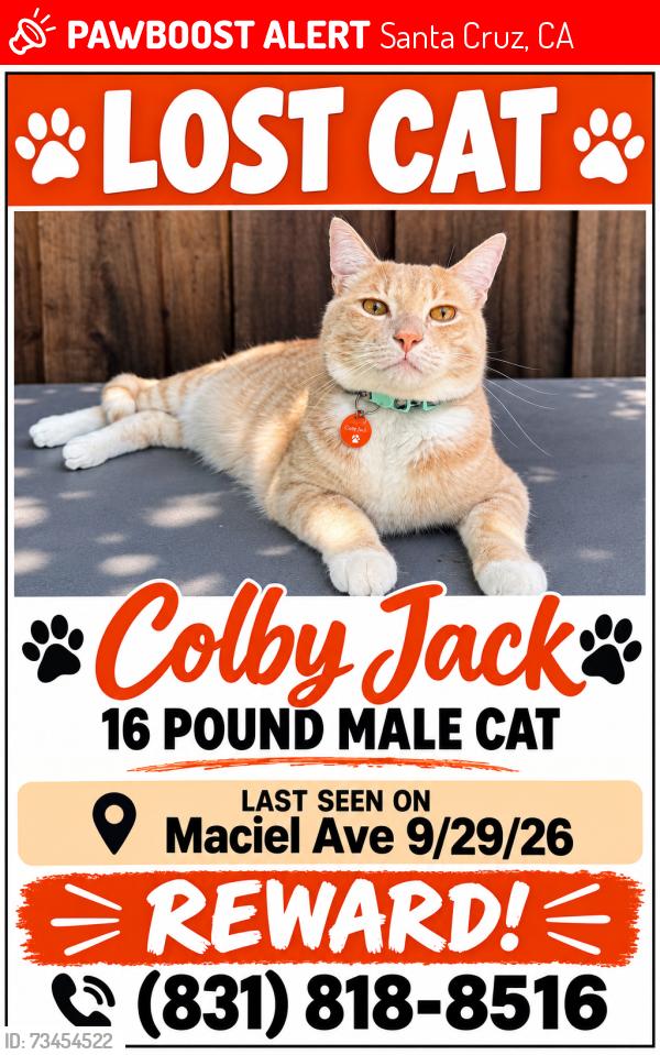 Lost Male Cat last seen Mattison lane, Santa Cruz, CA 95062