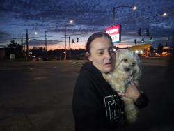 Lost Female Dog last seen 64th So lawerance, Tacoma, WA 98409