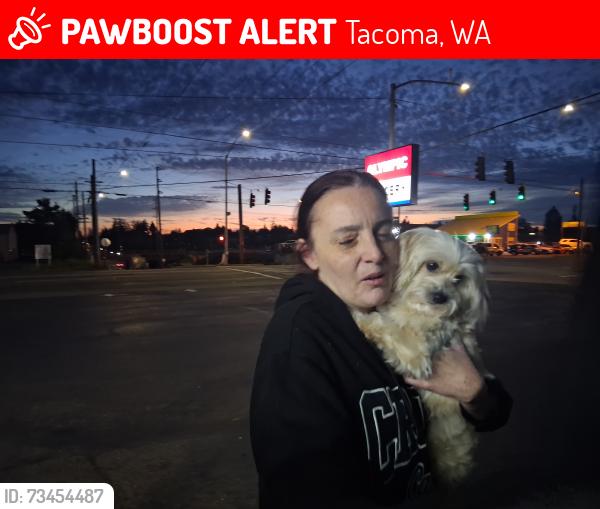 Lost Female Dog last seen 64th So lawerance, Tacoma, WA 98409