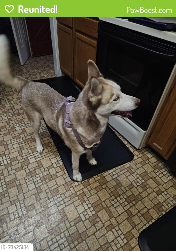 Reunited Unknown Dog last seen Turner road, Richmond, VA 23234