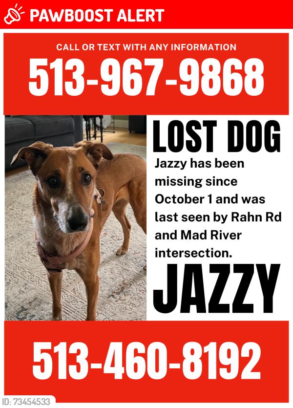 Lost Female Dog last seen Rahn and Mad river, Woodbourne-Hyde Park, OH 45429