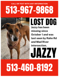 Lost Female Dog last seen Rahn and Mad river, Woodbourne-Hyde Park, OH 45429