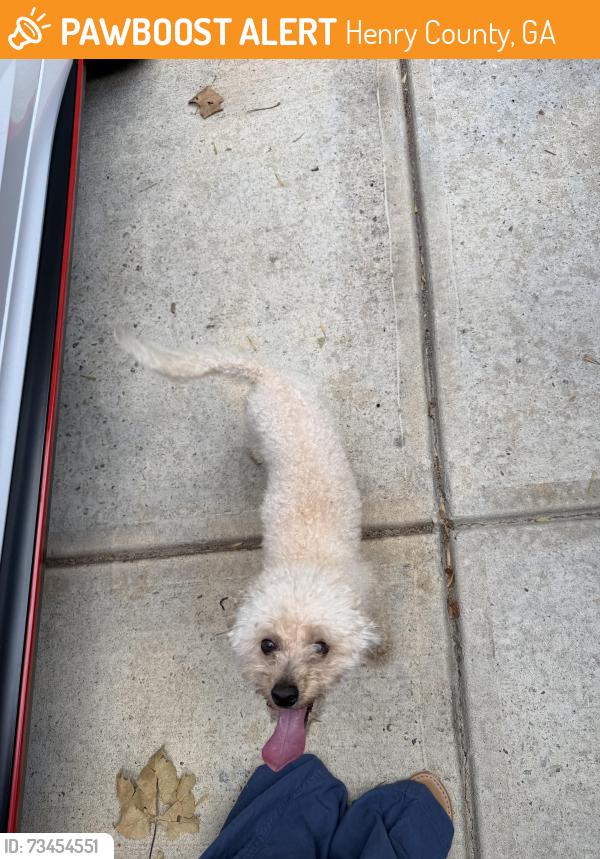 Found/Stray Male Dog last seen Nevis way, Henry County, GA 30253