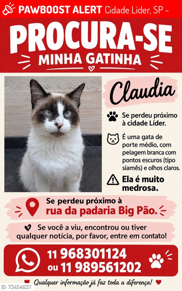 Lost Female Cat last seen Rua conde de avilez, Cidade Líder, SP 08285-310