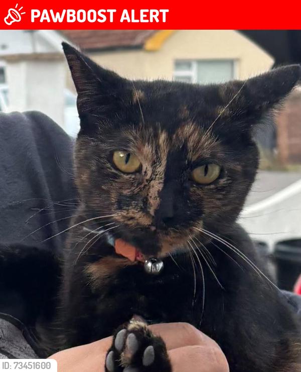 Lost Female Cat last seen Pield Heath road, Greater London, England UB8 3NF