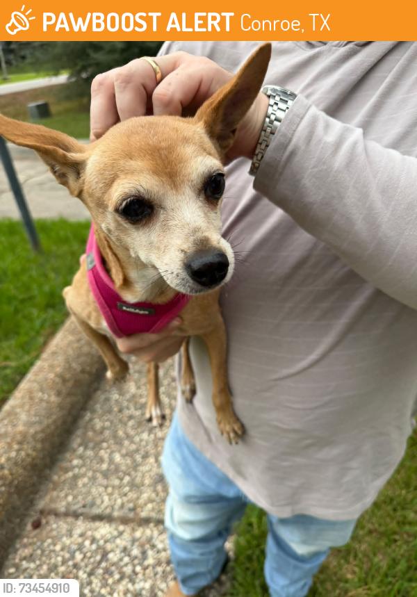 Found/Stray Female Dog last seen River Plantation, Conroe, TX 77302