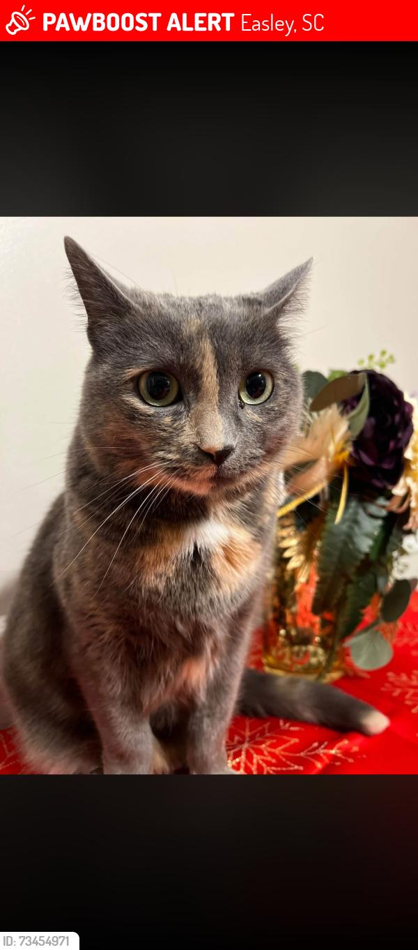 Lost Female Cat last seen Fire station, Easley, SC 29642