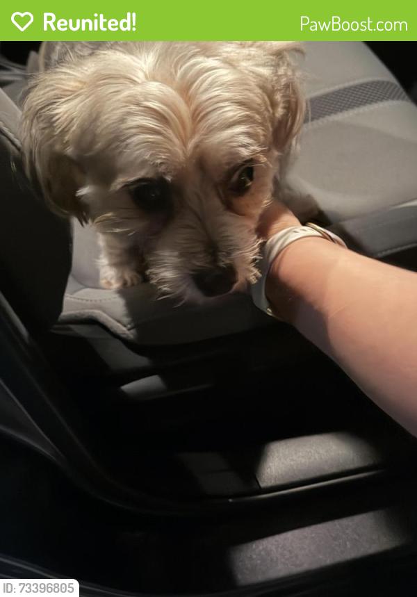 Reunited Unknown Dog last seen Quail Ridge and Pheasant Court Melbourne Fl, Melbourne, FL 32935