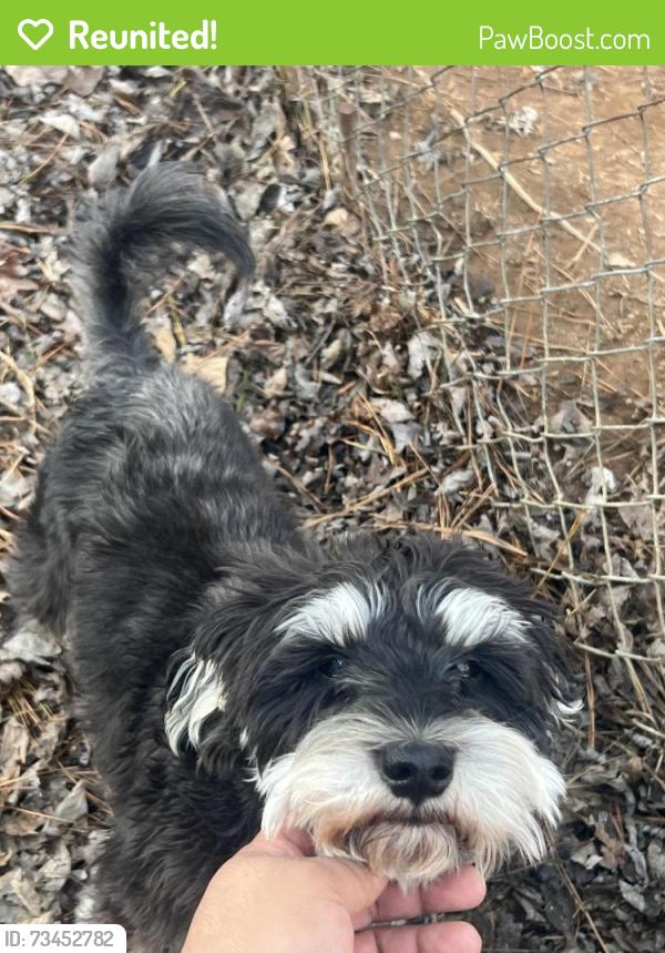 Reunited Male Dog last seen Maddox rd, Morrow, GA 30260