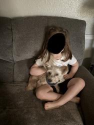 Lost Female Dog last seen W Hefner Rd and Rockwell Ave, Oklahoma City, OK 73162