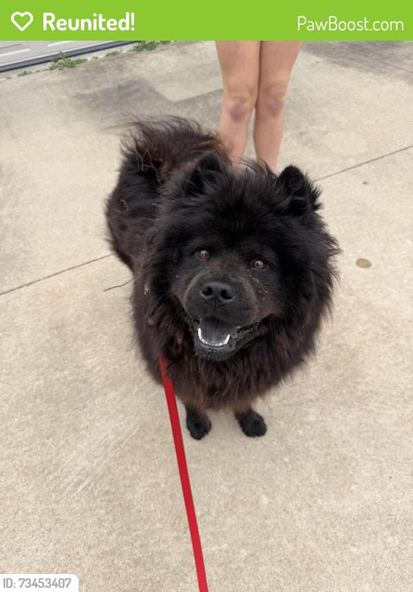 Reunited Female Dog last seen Valley view Rd SW Oronoco, Oronoco, MN 55960