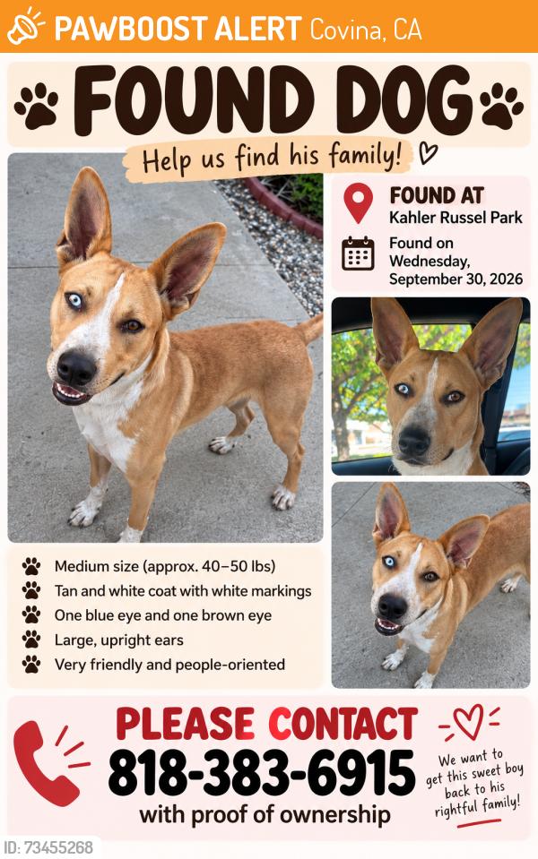 Found/Stray Male Dog last seen By the skate park, Covina, CA 91724