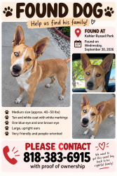 Found/Stray Male Dog last seen By the skate park, Covina, CA 91724