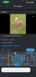 Found/Stray Unknown Dog last seen Fort Lauderdale police station, Fort Lauderdale, FL 33311