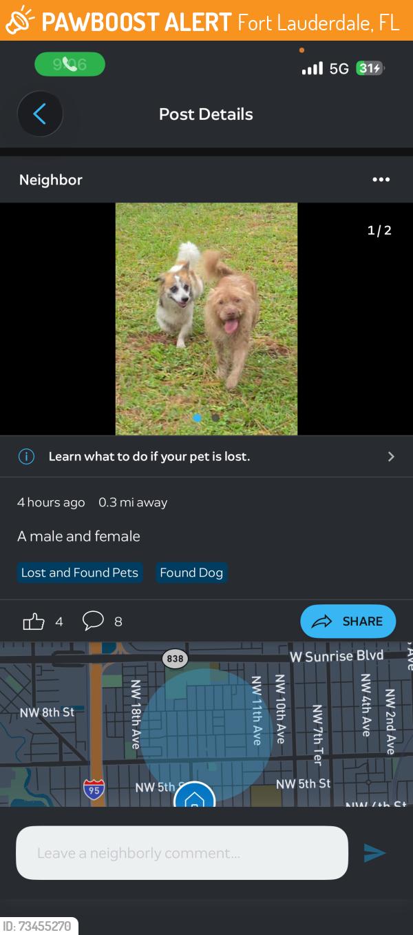 Found/Stray Unknown Dog last seen Fort Lauderdale police station, Fort Lauderdale, FL 33311