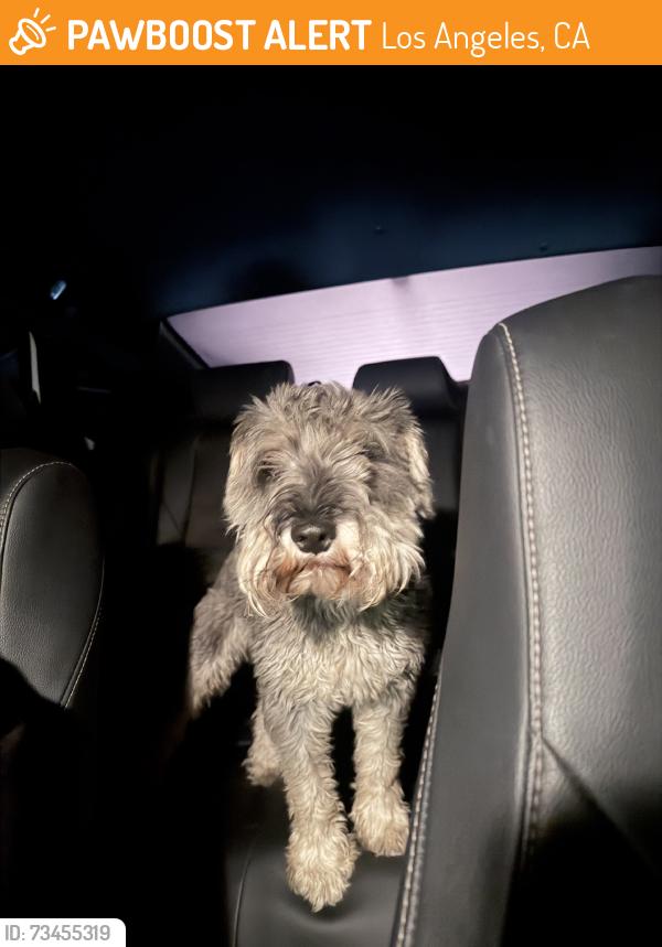 Found/Stray Unknown Dog last seen Imperial and san pedro, Los Angeles, CA 90061