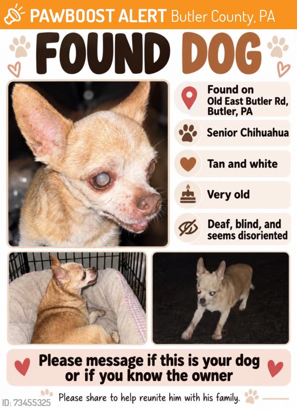 Found/Stray Male Dog last seen Bonnie brook road, Butler County, PA 16002
