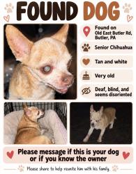 Found/Stray Male Dog last seen Bonnie brook road, Butler County, PA 16002