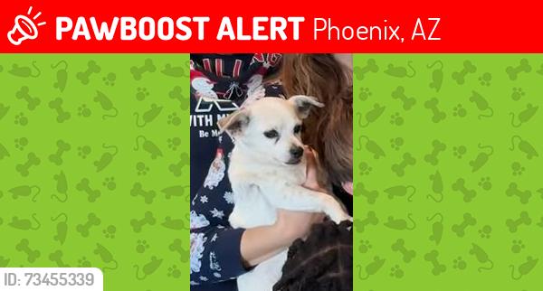Lost Female Dog last seen W Dove Valley Rd. And N Slide Rock Dr, Phoenix, AZ 85086