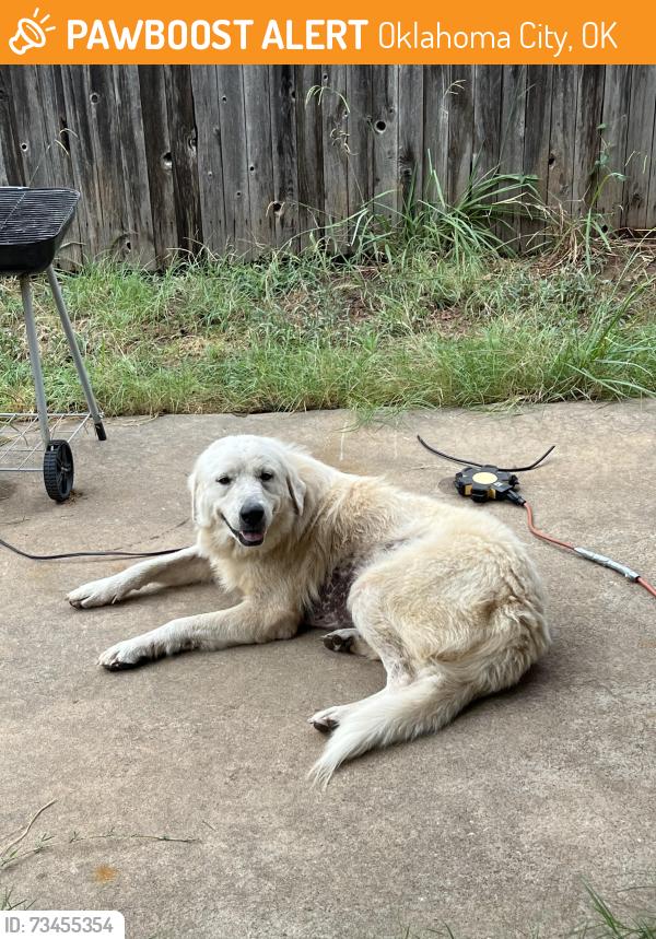Found/Stray Unknown Dog last seen Near, Oklahoma City, OK 73119